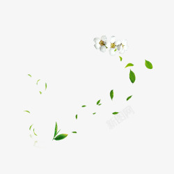 干净飞舞白色花瓣绿色树叶素材