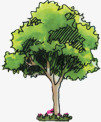 圆形绿色手绘植物大树装饰素材