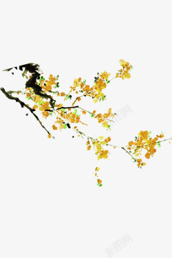 典雅花朵典雅金色的梅花高清图片