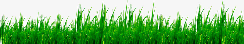 绿色成长小草草坪png免抠素材_新图网 https://ixintu.com 成长 绿色 草坪