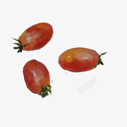 小番茄手绘素材