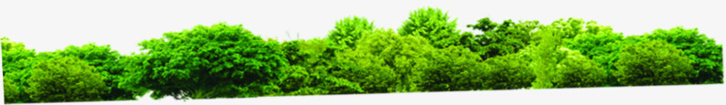 绿色环保风光景色树林png免抠素材_新图网 https://ixintu.com 景色 树林 环保 绿色 风光