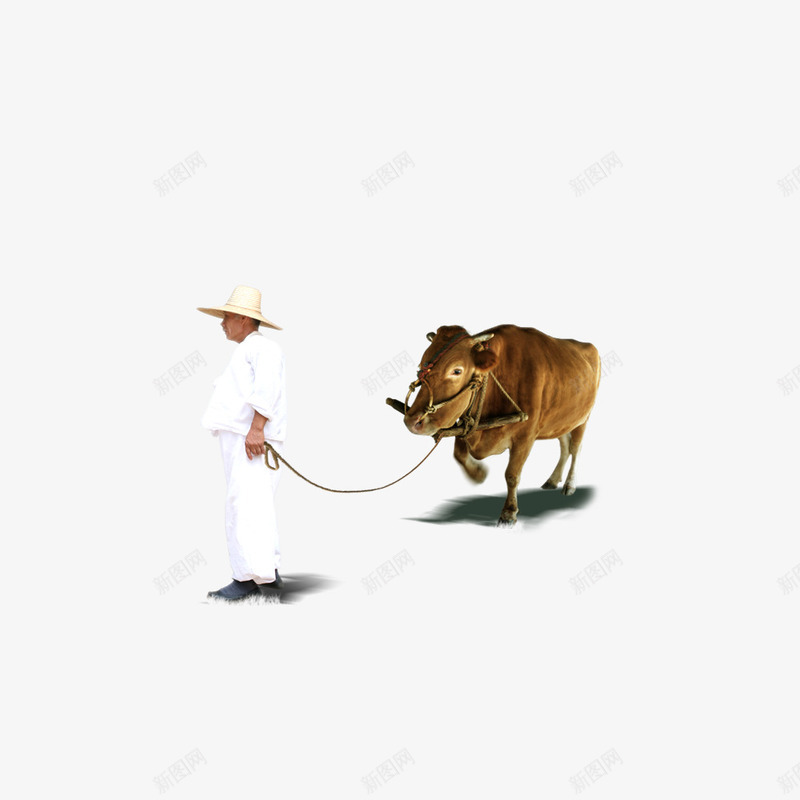 牵牛的男人png免抠素材_新图网 https://ixintu.com 一头 卡通 手绘 牛 男人 白色的 绳子 草帽 衣服