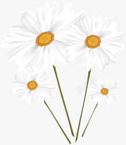 白色美丽春天花朵矢量图素材