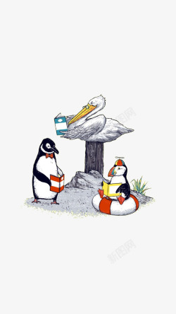 企鹅和海鸟素材