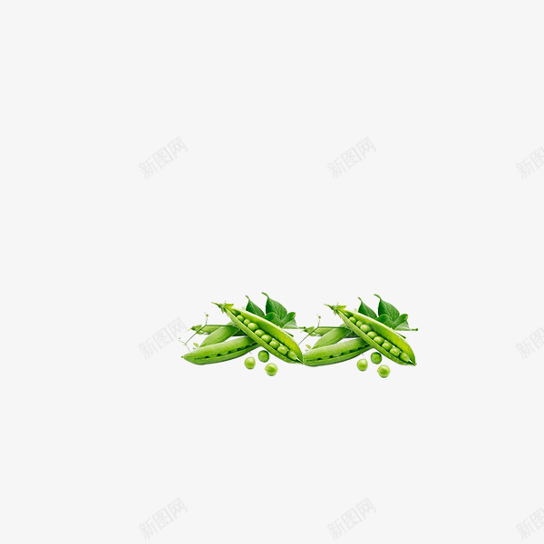 豌豆绿色蔬菜有机蔬菜png免抠素材_新图网 https://ixintu.com 植物 蔬菜 豌豆 青豆 青豆豌豆免费下载