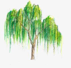 春日手绘垂柳大树素材