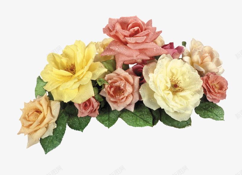 美丽花束png免抠素材_新图网 https://ixintu.com 叶子 玫瑰花 花卉 花朵 花瓣 鲜花