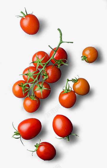 小番茄蔬果png免抠素材_新图网 https://ixintu.com 小番茄 素材 蔬果