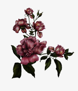 美丽的花素材
