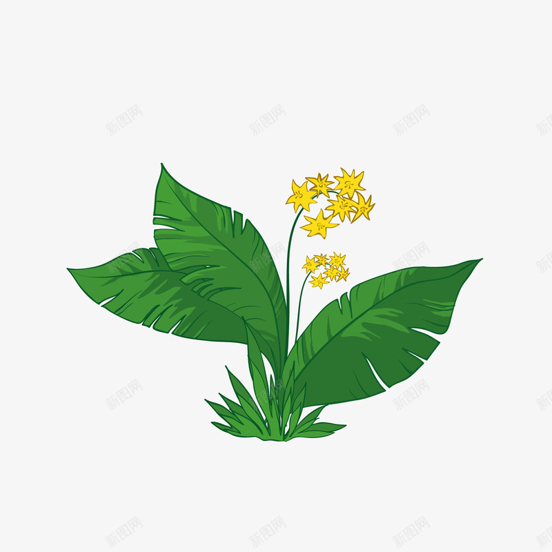 手绘一颗美丽的花png免抠素材_新图网 https://ixintu.com 手绘 植物 漂亮 绿色的 花叶 花朵 黄色的