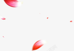 红色个性漂浮花瓣素材