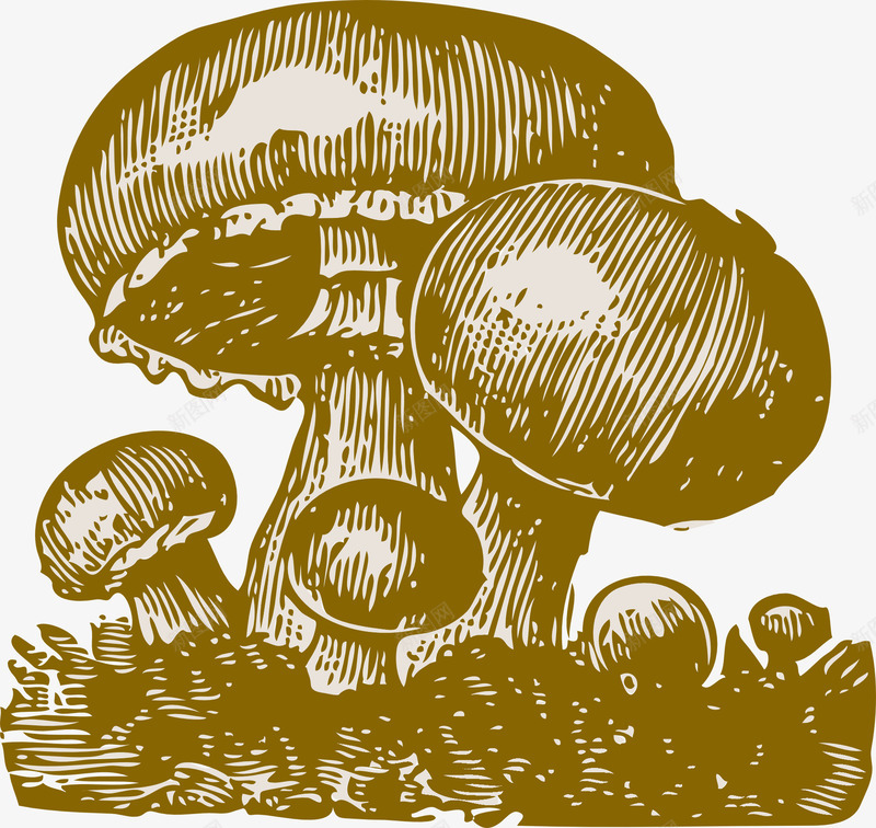 野生天然蘑菇png免抠素材_新图网 https://ixintu.com 森林 植物 真菌 自然 菌类 蘑菇 食用 魔菇