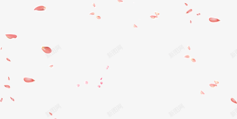 漂浮的漂亮花瓣png免抠素材_新图网 https://ixintu.com 漂浮 花朵 花瓣