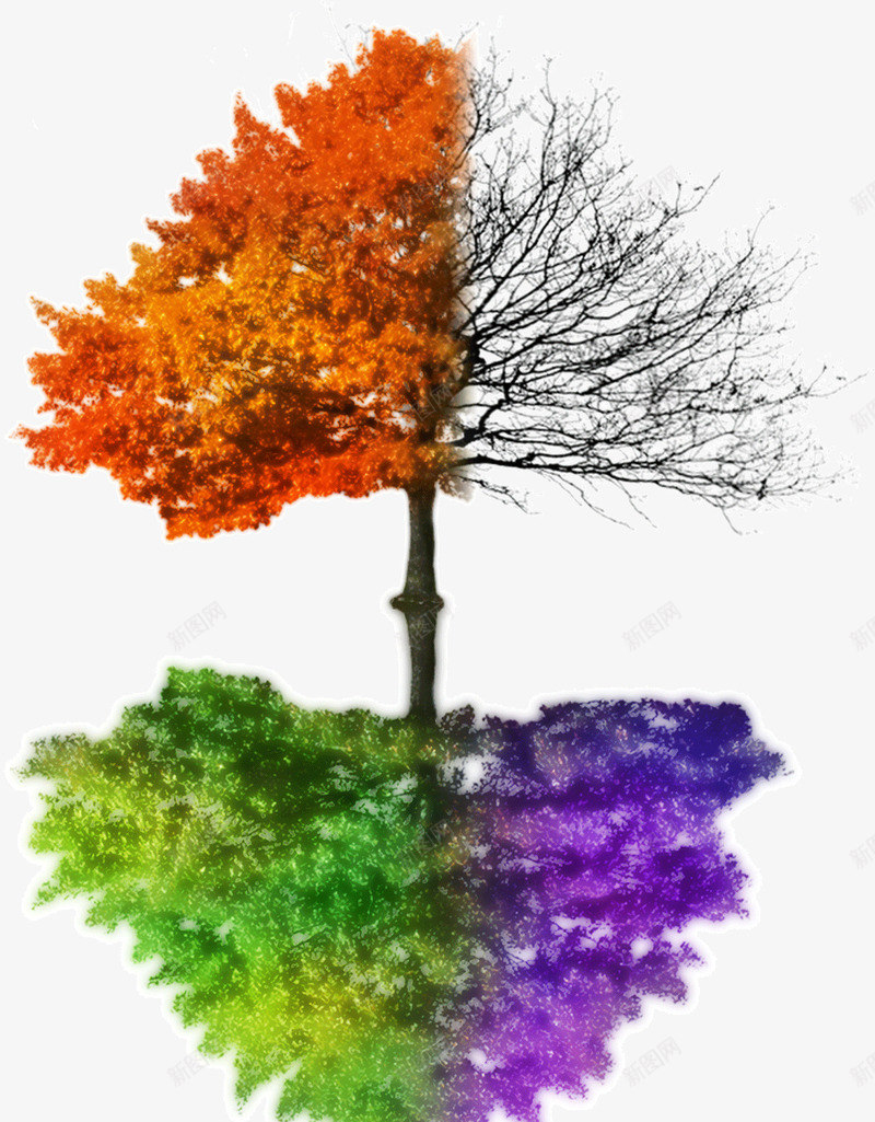 创意一年四季的大树png免抠素材_新图网 https://ixintu.com 一年四季 创意 大树 广告 设计