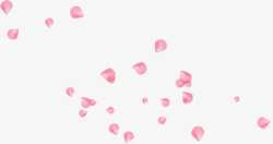 粉红花瓣装饰漂浮不规则素材
