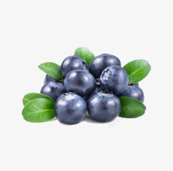 蓝莓绿色食品免费素材