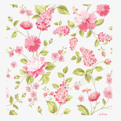 芳香四溢粉红色鲜艳的花朵图案矢量图高清图片