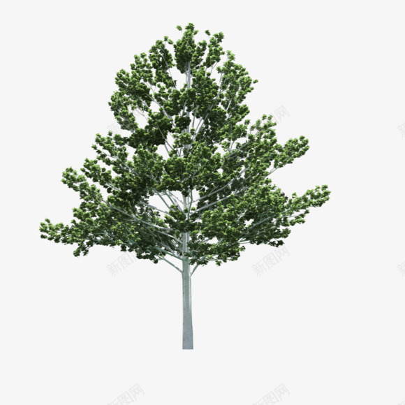 树透明绿色大树png免抠素材_新图网 https://ixintu.com 大树 素材 绿色 透明