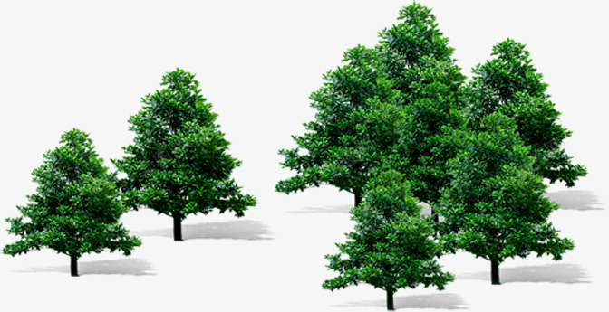 创意合成摄影效果绿色大树png免抠素材_新图网 https://ixintu.com 创意 合成 大树 摄影 效果 绿色