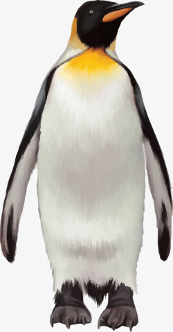 可爱企鹅矢量图素材
