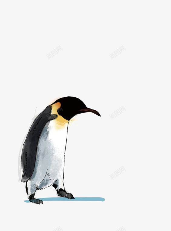 手绘企鹅png免抠素材_新图网 https://ixintu.com 企鹅免扣元素 企鹅插画 南极企鹅 卡通企鹅 小企鹅