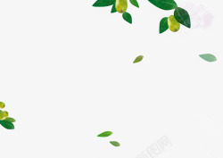 手绘绿色漂浮树叶葡萄水果素材