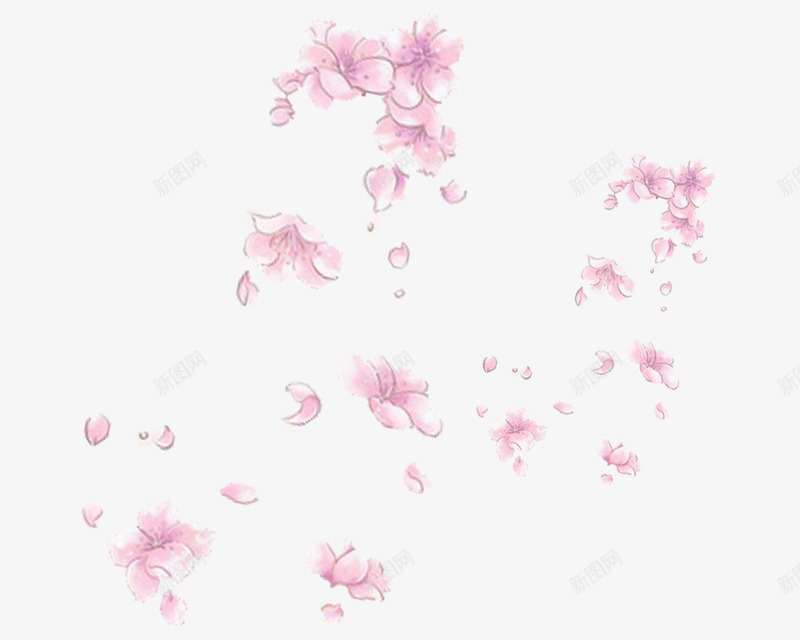 花卉花朵psd免抠素材_新图网 https://ixintu.com 化妆美容 清香 漂亮 粉红 美丽 花 花卉 花朵 鲜艳