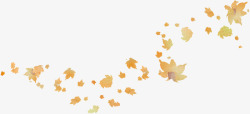秋叶漂浮漂浮的黄叶高清图片