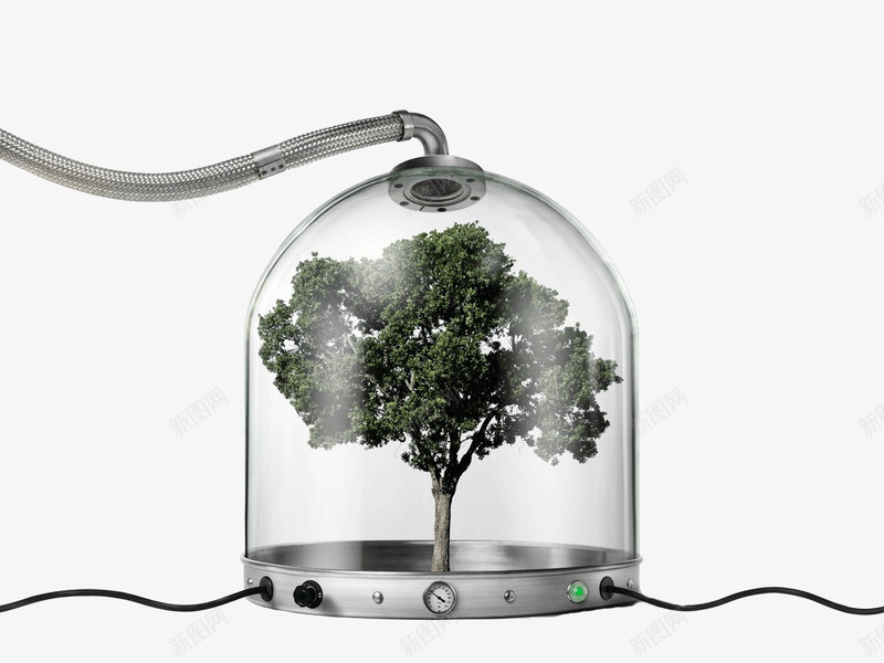 温室里的大树png免抠素材_新图网 https://ixintu.com 创业 创客 创意 发明设计 温室里的大树