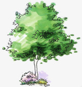 漫画绿色园林植物大树素材