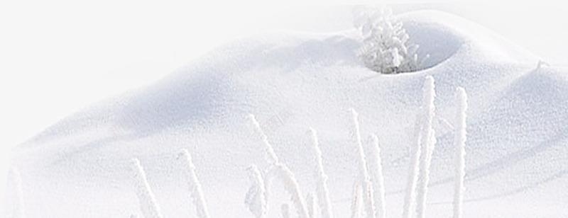 雪地浪漫冬季png免抠素材_新图网 https://ixintu.com 冬季图片 冬季雪地 冰山雪地 浪漫图片 雪地 雪地浪漫