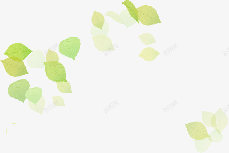 清新漂浮绿色夏季透明树叶png免抠素材_新图网 https://ixintu.com 夏季 树叶 清新 漂浮 绿色 透明