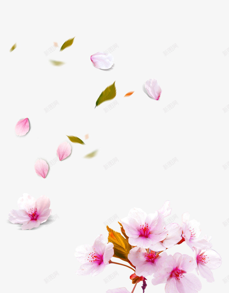 粉色清新花朵花瓣漂浮png免抠素材_新图网 https://ixintu.com 免抠PNG 清新 漂浮素材 粉色 花朵 花瓣