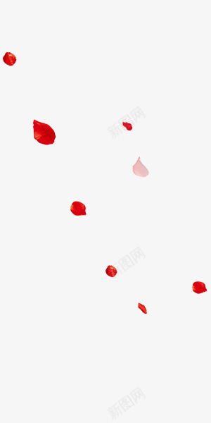 红色浪漫温暖漂浮花瓣psd免抠素材_新图网 https://ixintu.com 浪漫 温暖 漂浮 红色 花瓣