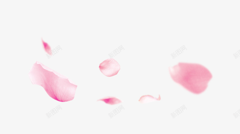 漂浮着的粉色花瓣png免抠素材_新图网 https://ixintu.com 漂浮素材 漂浮花瓣 粉色 粉色花瓣 花瓣