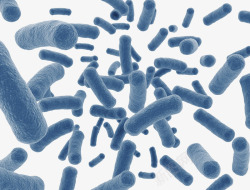 蓝色细胞天蓝色虫形微生物高清图片