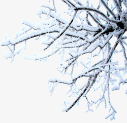 冬季树枝主题海报素材