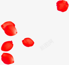 红色漂浮玫瑰花瓣装饰电商png免抠素材_新图网 https://ixintu.com 漂浮 玫瑰 红色 花瓣 装饰
