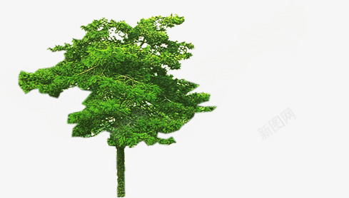 创意造型大树美景png免抠素材_新图网 https://ixintu.com 创意 大树 美景 造型