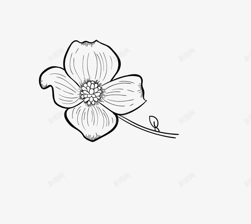 美丽的花朵简笔画图标png_新图网 https://ixintu.com 盛开的 简笔画 绘画 美丽的 花卉 花朵 花瓣