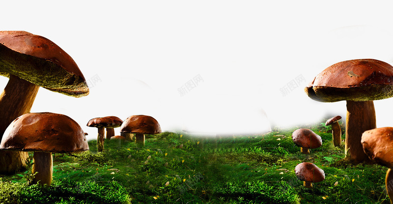 绿色的蘑菇草坪png免抠素材_新图网 https://ixintu.com 简约 绿色 草坪 蘑菇