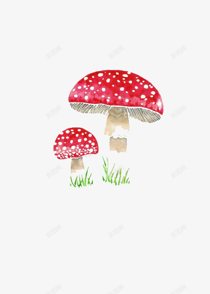红蘑菇png免抠素材_新图网 https://ixintu.com 小草 毒蘑菇 红色 蘑菇