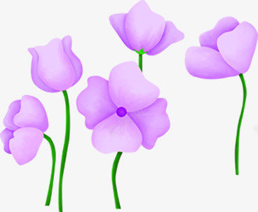 手绘紫色花朵美丽png免抠素材_新图网 https://ixintu.com 紫色 美丽 花朵