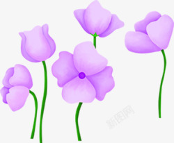 手绘紫色花朵美丽素材