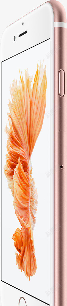 粉色边框苹果6S手机png免抠素材_新图网 https://ixintu.com 6s 手机 粉色 苹果 边框