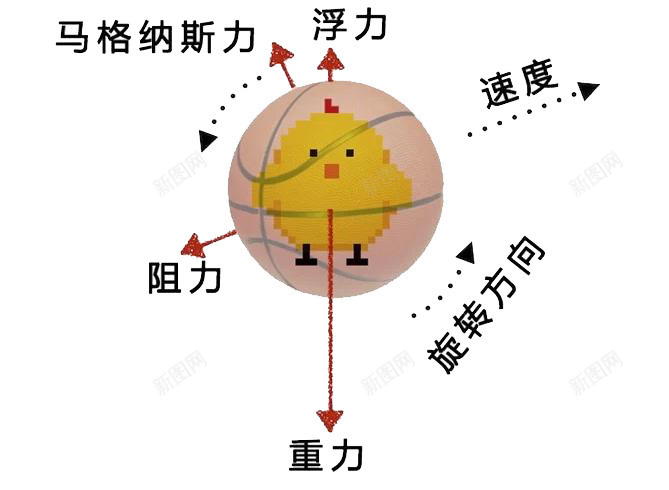 篮球的受力分析png免抠素材_新图网 https://ixintu.com 受力 篮球 重力