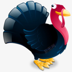turkey土耳其年感恩节高清图片