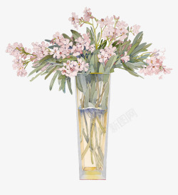心悦花瓶里的鲜花高清图片