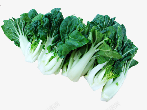 食物剪影手绘食物青菜蔬菜图标图标